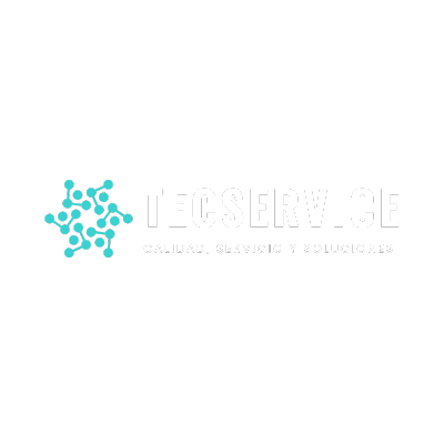 TECSERVICE